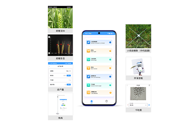 漯河市小麦表型检测仪IN-XM04